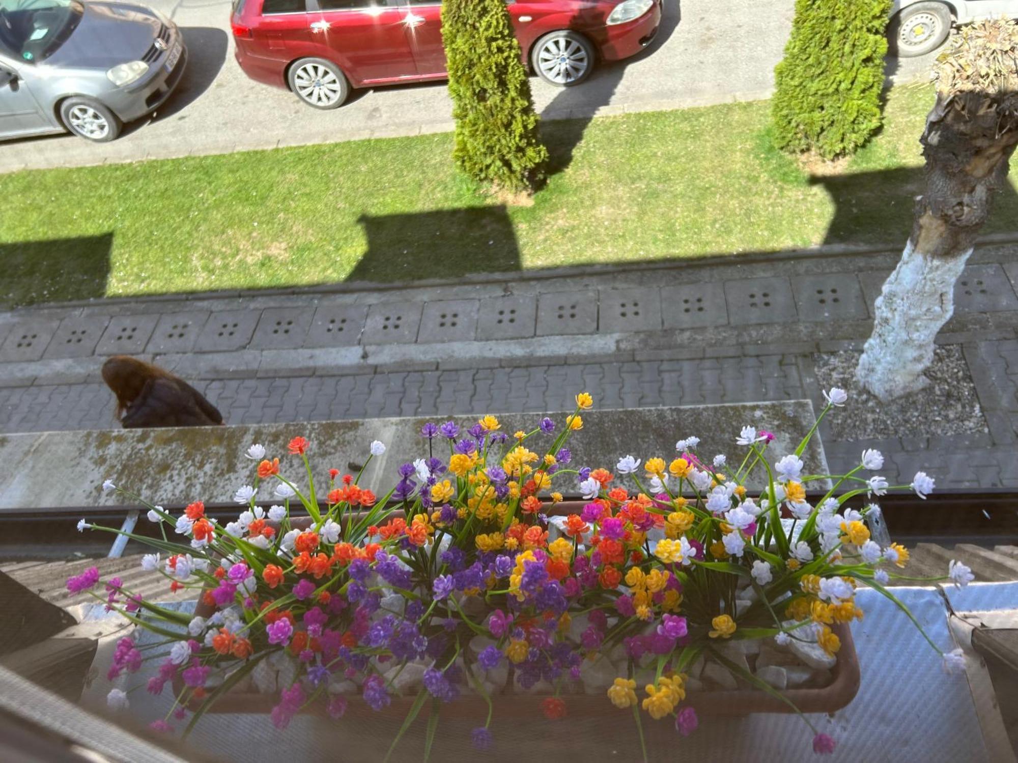Bivolul Negru Apartment Blaj Exterior photo